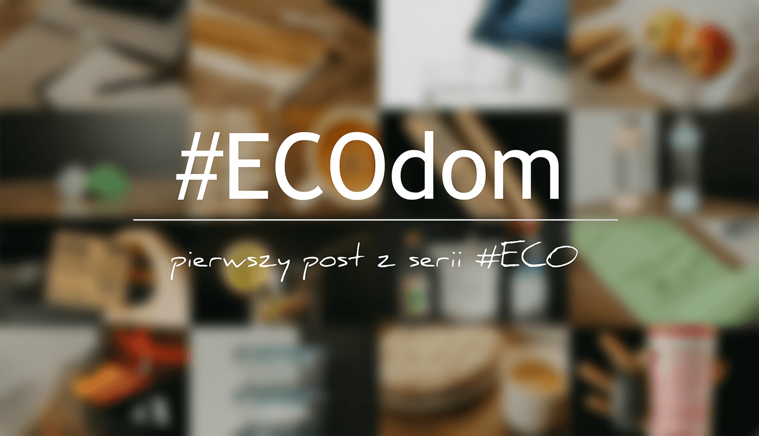 #ECOdom 1
